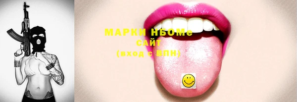 индика Приозерск