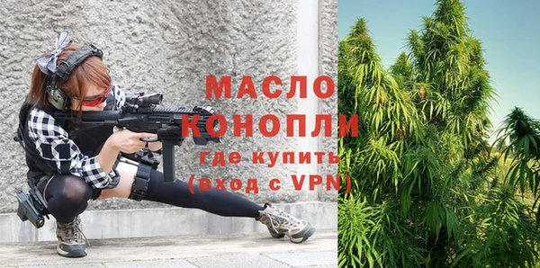 индика Баксан