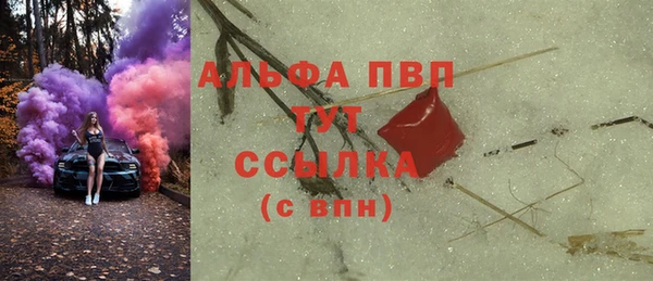 индика Баксан